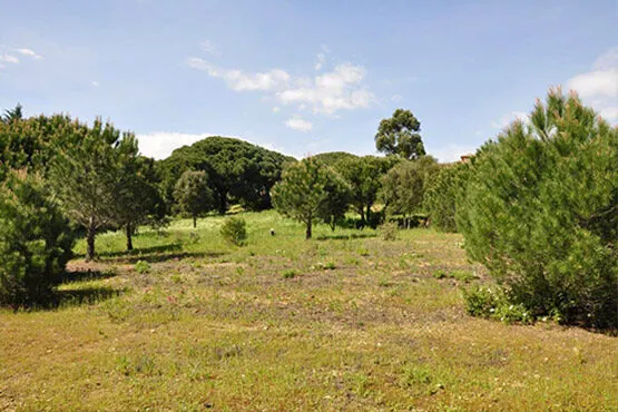 Les Bastides des Saquèdes – chantier, photo 4