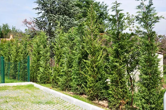 Le Clos Saint Pierre – chantier, photo 1